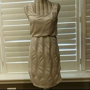 Alice Moon Gold Shimmer Dress